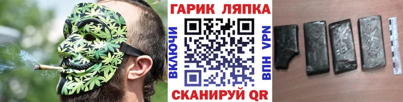 ГАШ Premium Ессентуки