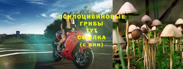 МДПВ Аркадак